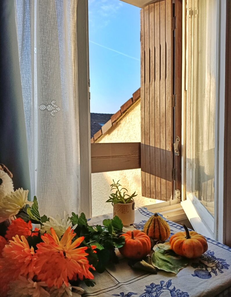bright blue sky and windown sill, with orange flowers, leaves and small autumn pumpkins decor