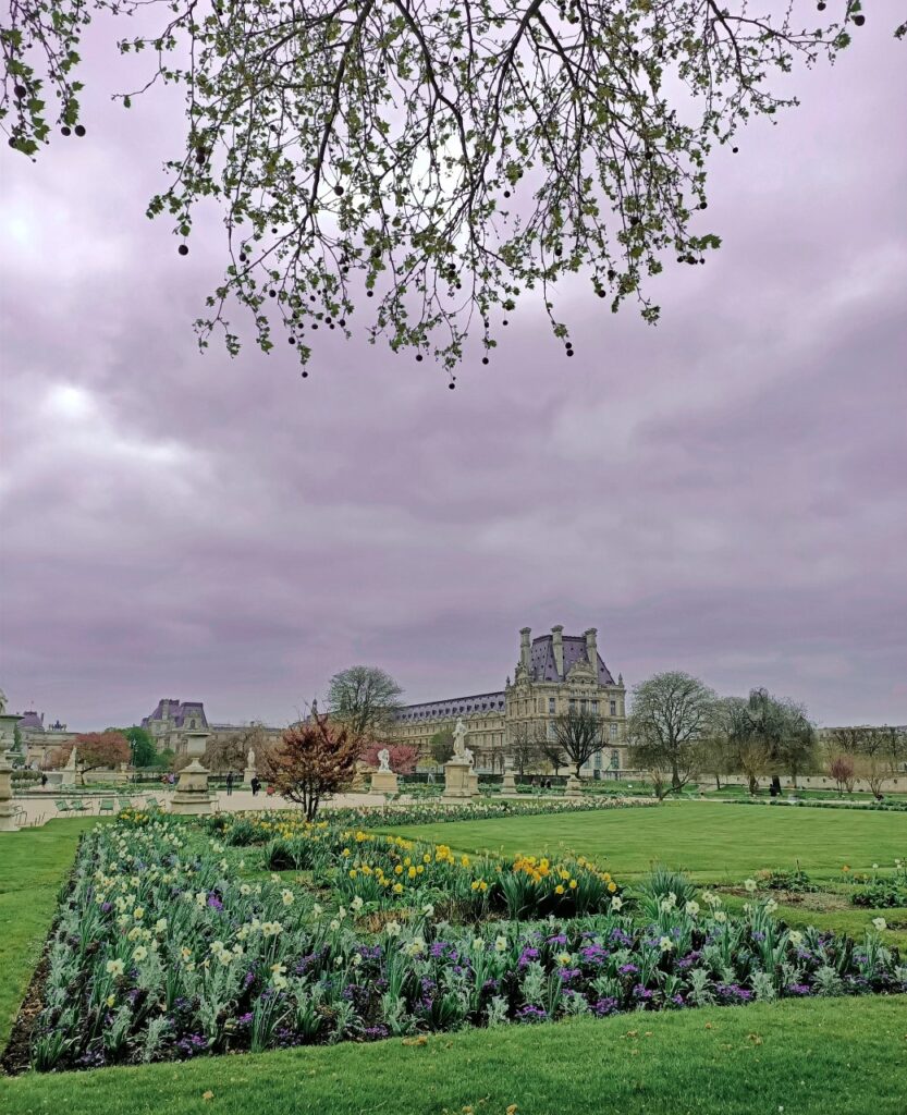 A view of the Tuileries garden in Paris on a grey day. The Louvre building is in the background, and in the foreground there is a flowerbed of daffodils and purple flowers.