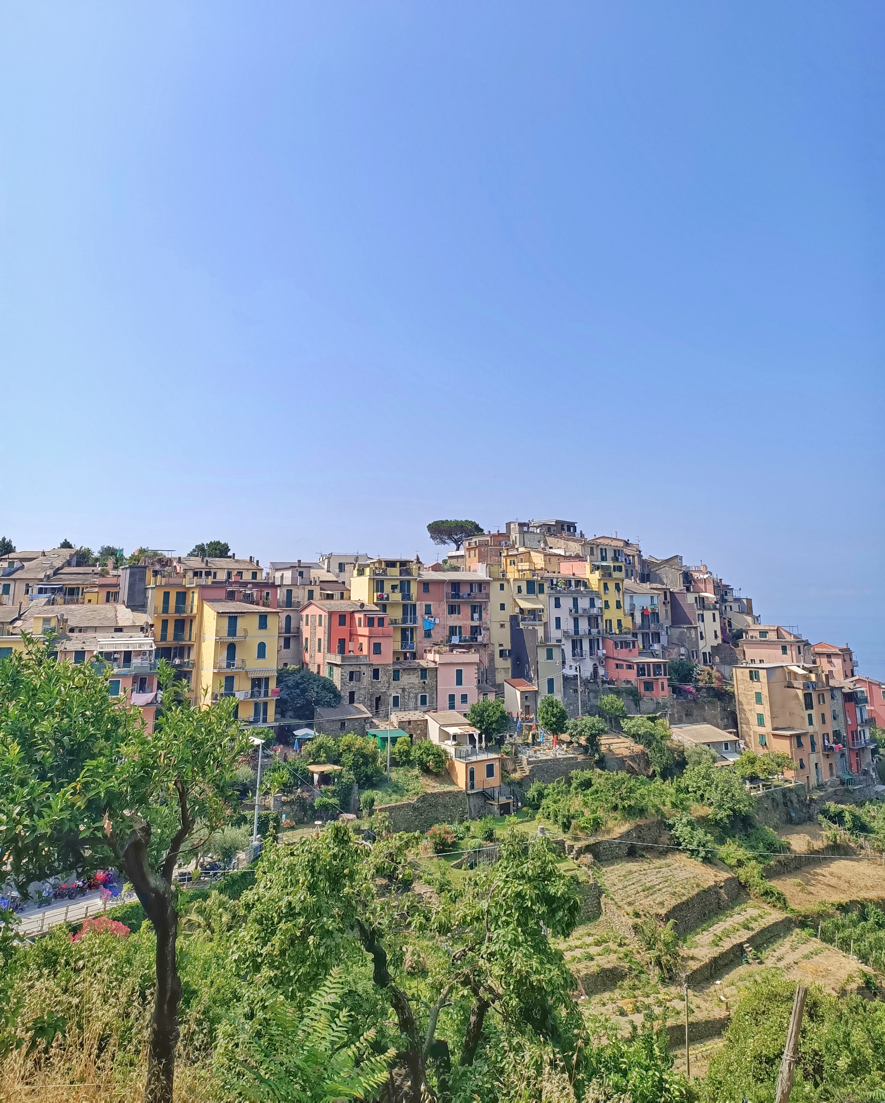 The village of Corniglia in the Cinque Terre, with its colourful houses and terraced vineyards on top of the hill.