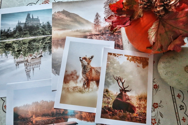 Flat lay of autumn posters from PosterStore. The poster in the middle shows a fox, and next to it is the photograph of a reindeer. Around them are autumn landscapes.