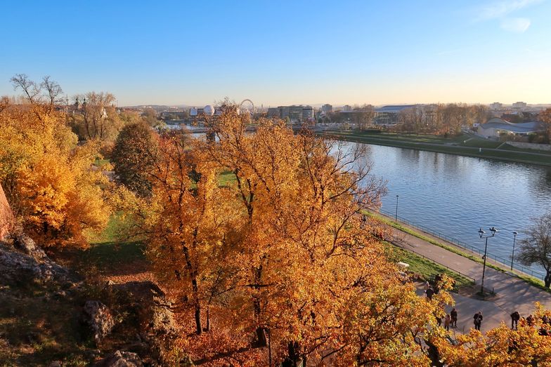 The view from Wawel Castle in Krakow, Poland. We can see the autumn trees and their orange leaves, and the Vistula river in the background. The sky is blue, it's a beautiful autumn day in Krakow.