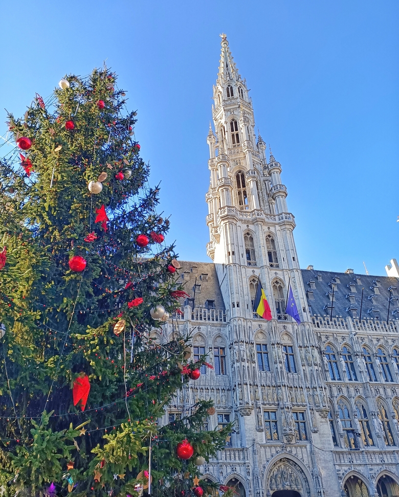 The big Christmas tree with red ornaments at Grand Place in Brussels, Belgium. Behind the tree we can see the famous Brussels town hall and its Gothic architecture.
