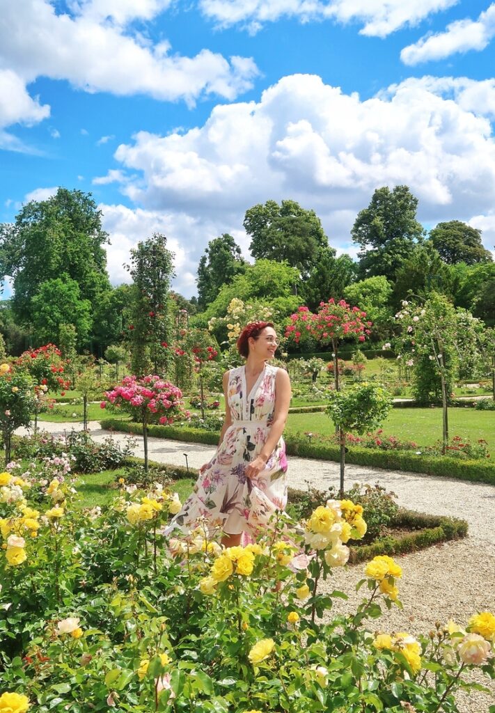 The rose garden at the secret Parc de Bagatelle in Paris. 